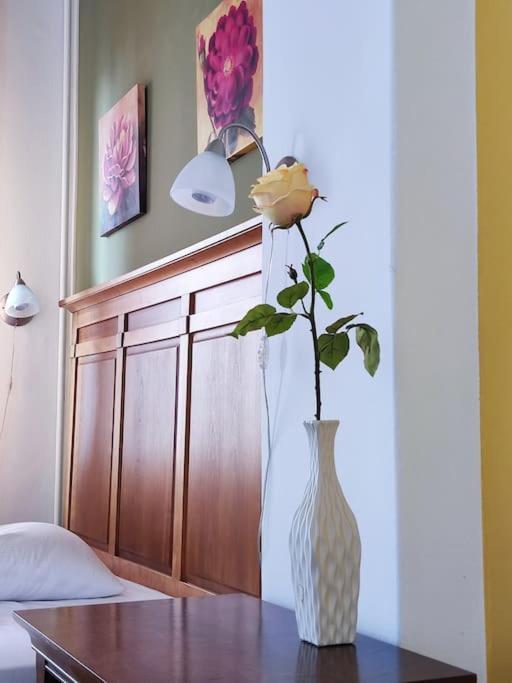 Bascarsija Apartment B-Home Old Town Szarajevó Kültér fotó